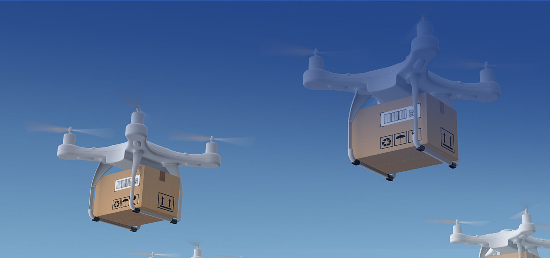 紹興大魚(yú)包裝有限公司